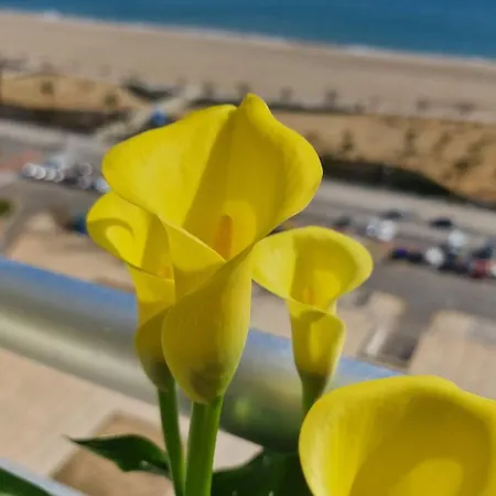 Luxury Sea View Эмпуриабрава